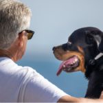 Unleashing the Truth About Rottweiler Behavior: Debunking the Myth of Aggression