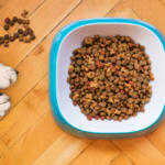 Full review: Is victor dog food good for Rottweilers