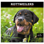 MICASA Rottweilers 2023 Hanging Monthly Wall Calendar | 12" x 24" Open | Thick & Durable Paper | Giftable | Adorable Dog | Rottweiler Lovers Delight!