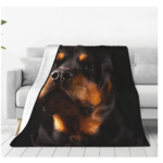 Rottweiler Adorable Dog Calm Full Fleece Throw Cloak Comforter Quilt King Sized Baby Nursery Bedroom Air Conditioner Blanket