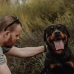 The Benefits of Investing in Best-Quality Toys for Your Rottweiler