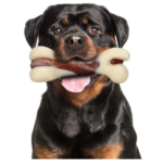 The Top 5 Rottweiler Toys for Your Loyal Companion